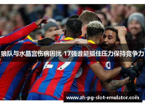 狼队与水晶宫伤病困扰 17强谁能挺住压力保持竞争力